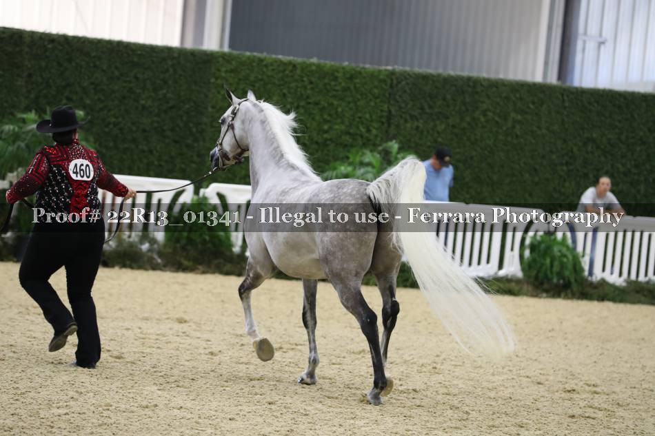 Proof 22R13_01341