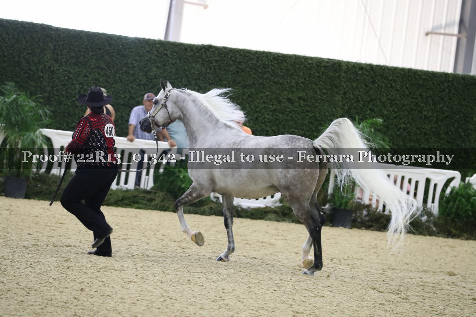 Proof 22R13_01342