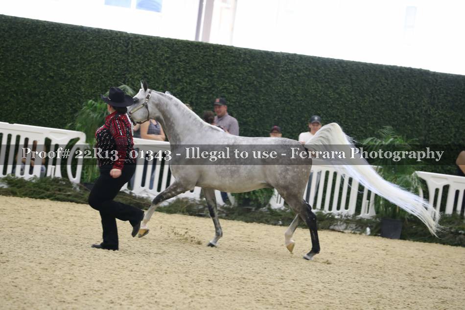 Proof 22R13_01343