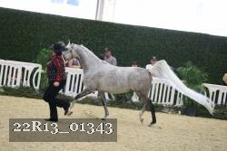 22R13_01343 proof