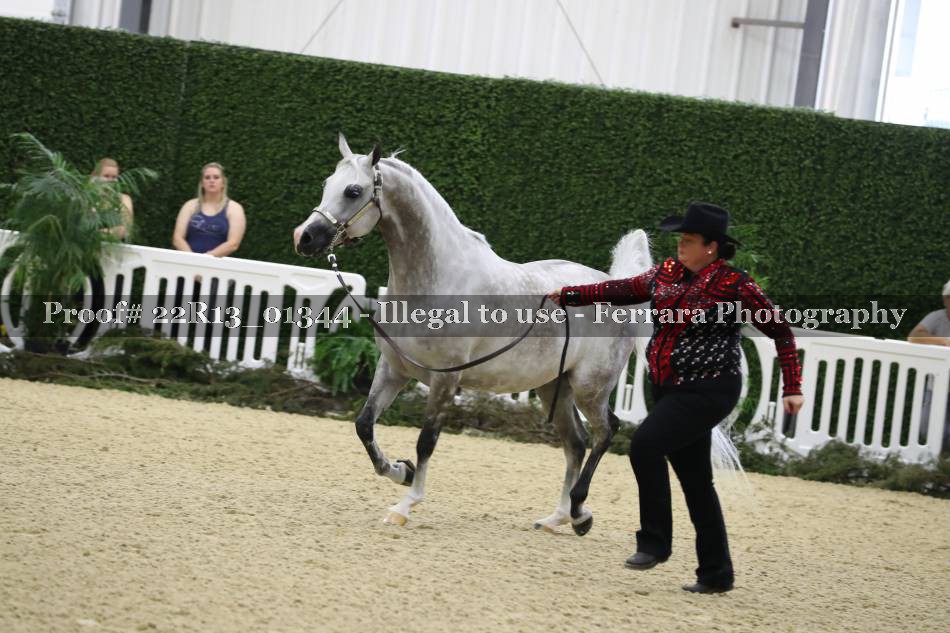 Proof 22R13_01344