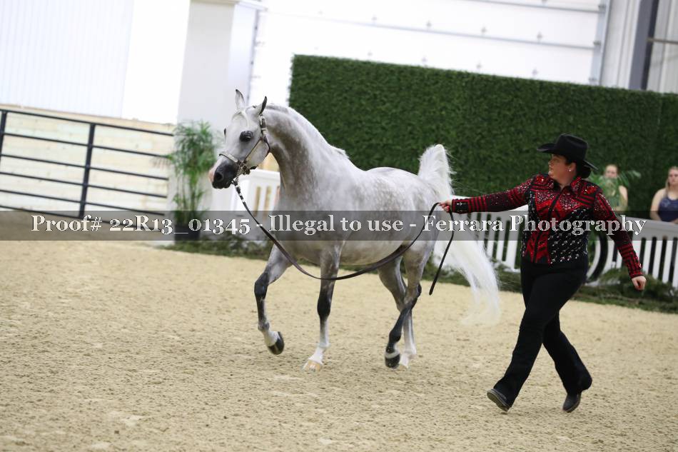 Proof 22R13_01345