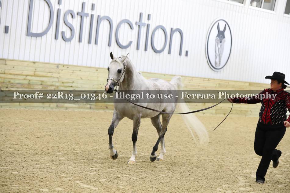 Proof 22R13_01346