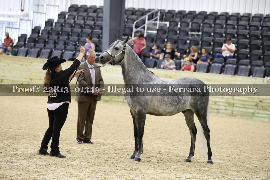Proof 22R13_01349