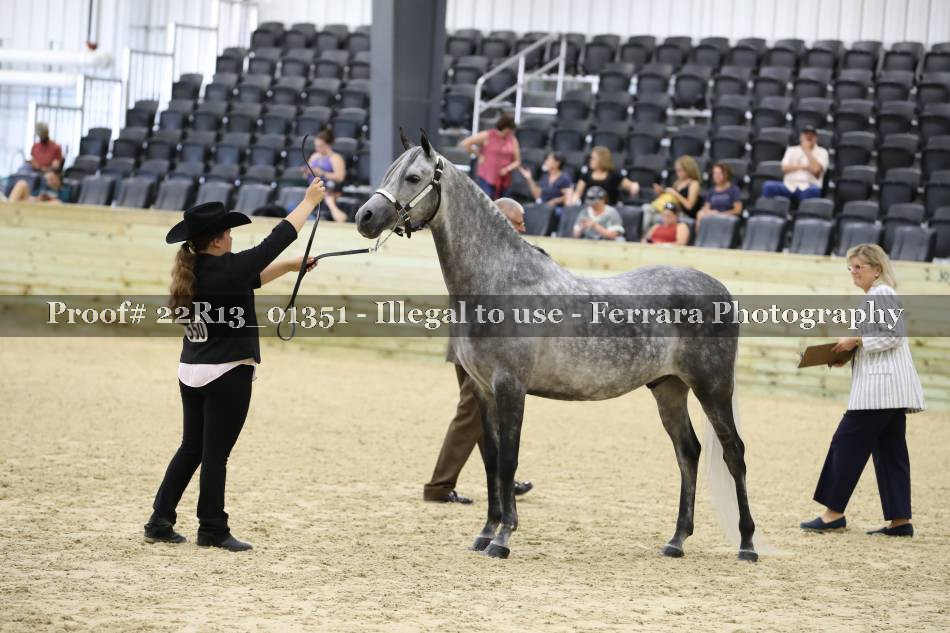 Proof 22R13_01351