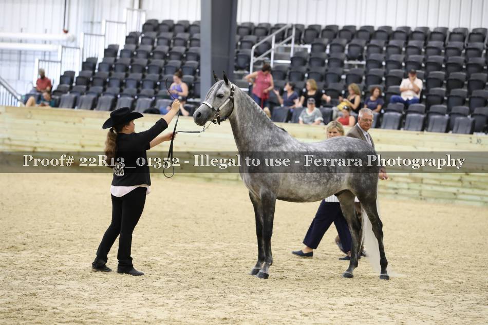 Proof 22R13_01352