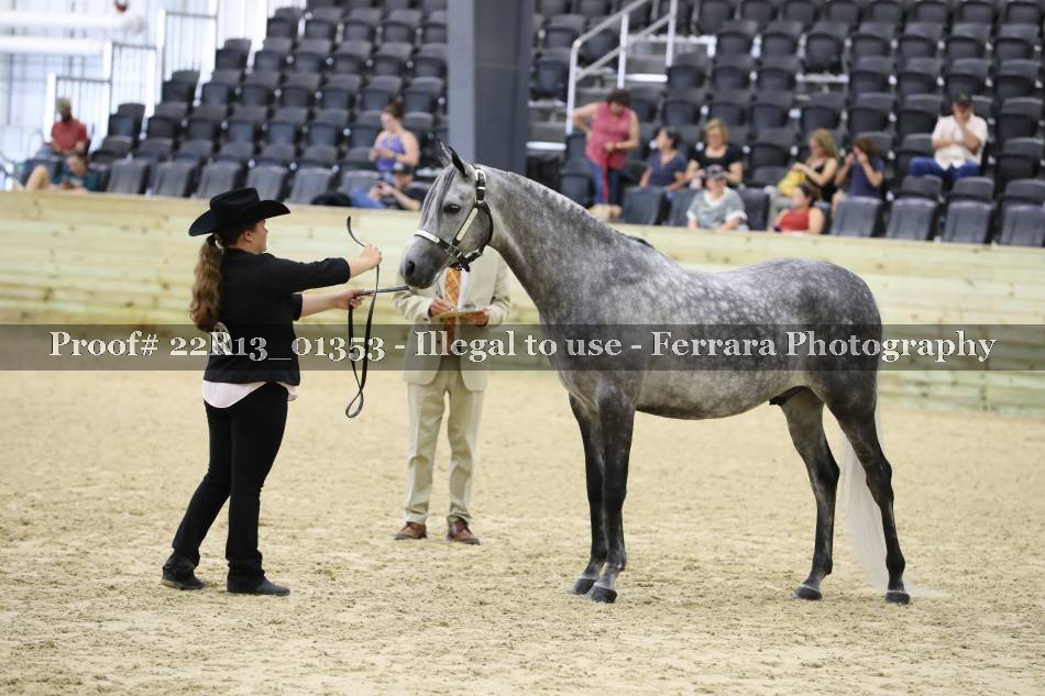 Proof 22R13_01353