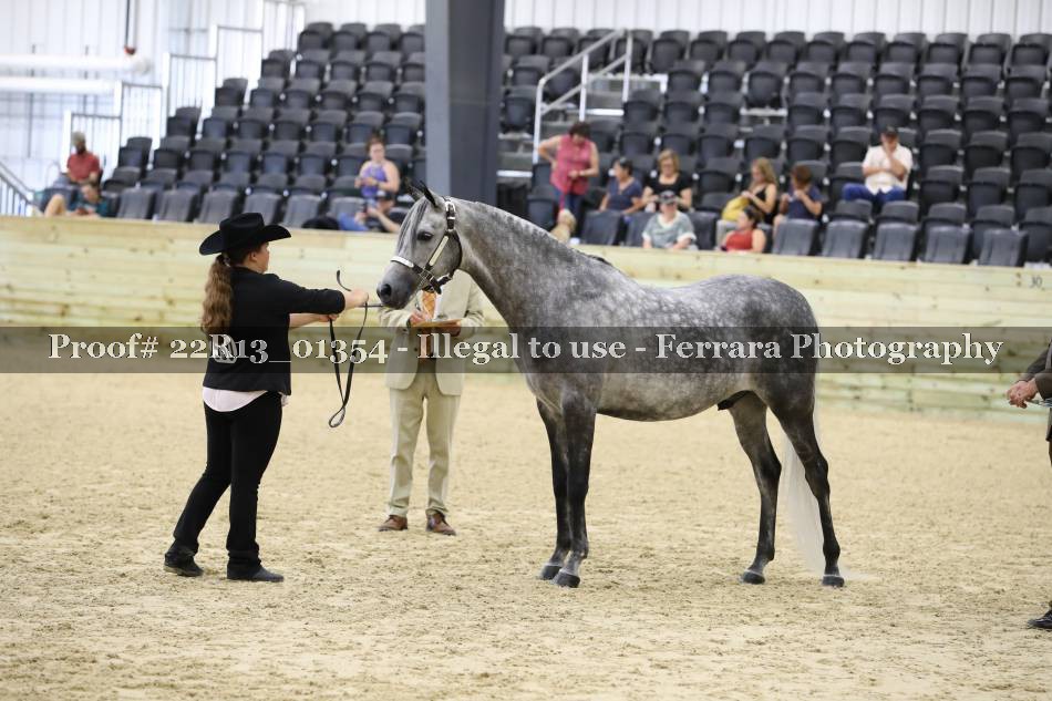 Proof 22R13_01354