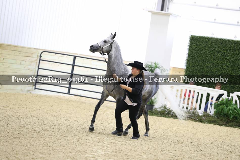 Proof 22R13_01361
