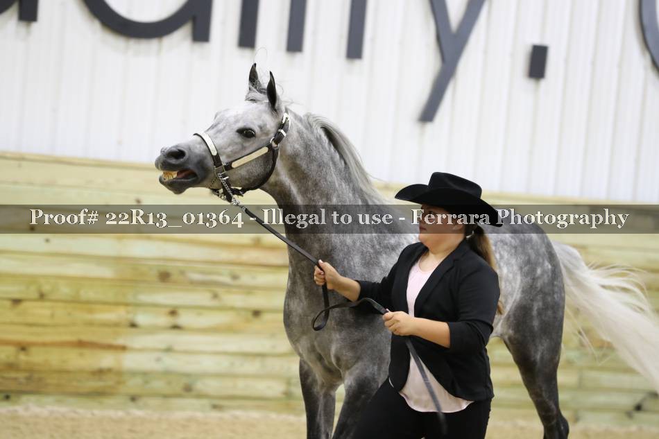 Proof 22R13_01364