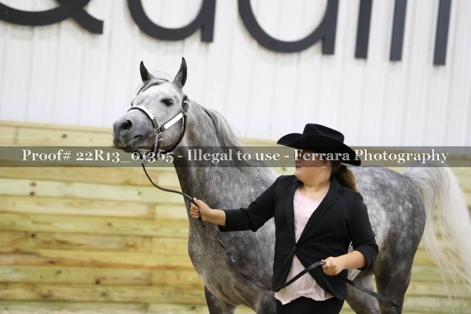 Proof 22R13_01365