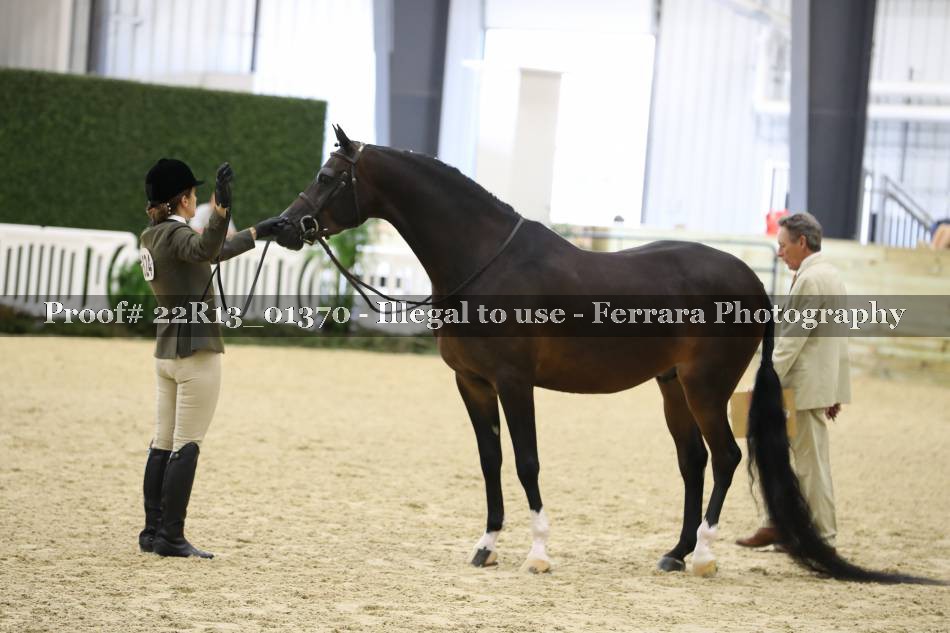 Proof 22R13_01370