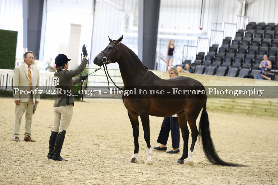 Proof 22R13_01371