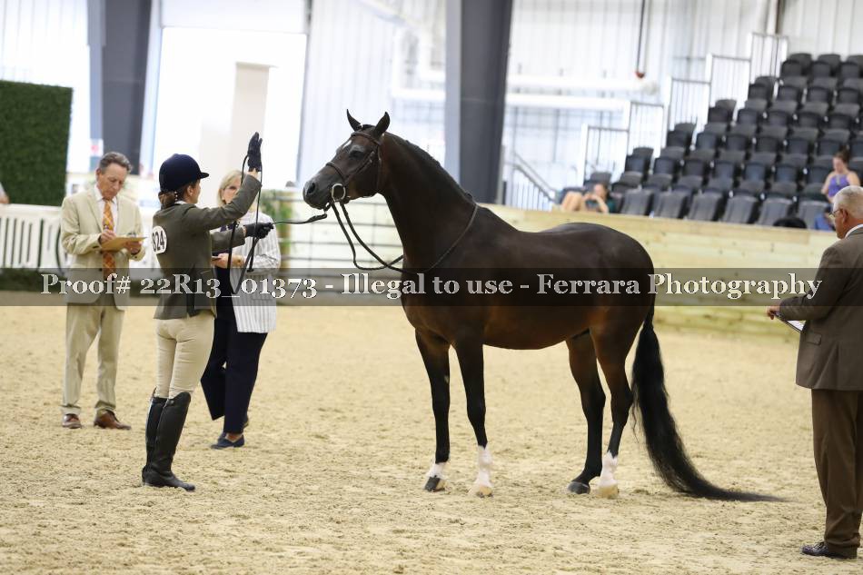 Proof 22R13_01373