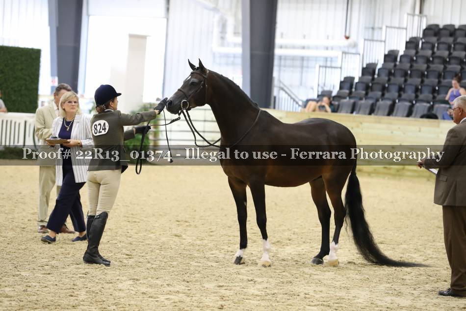 Proof 22R13_01374