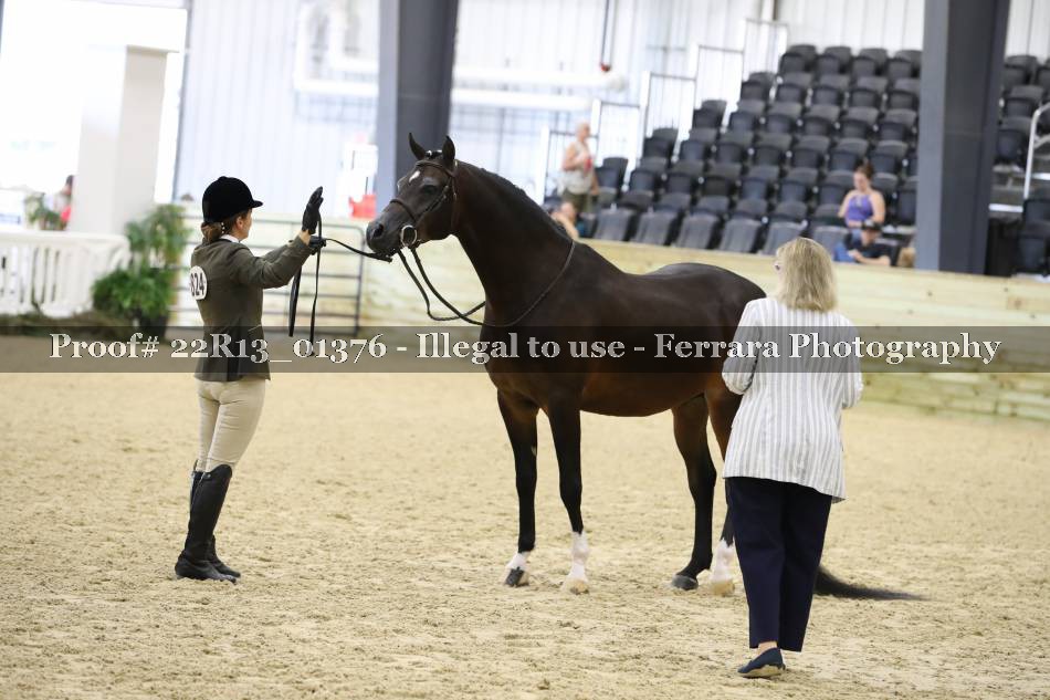 Proof 22R13_01376