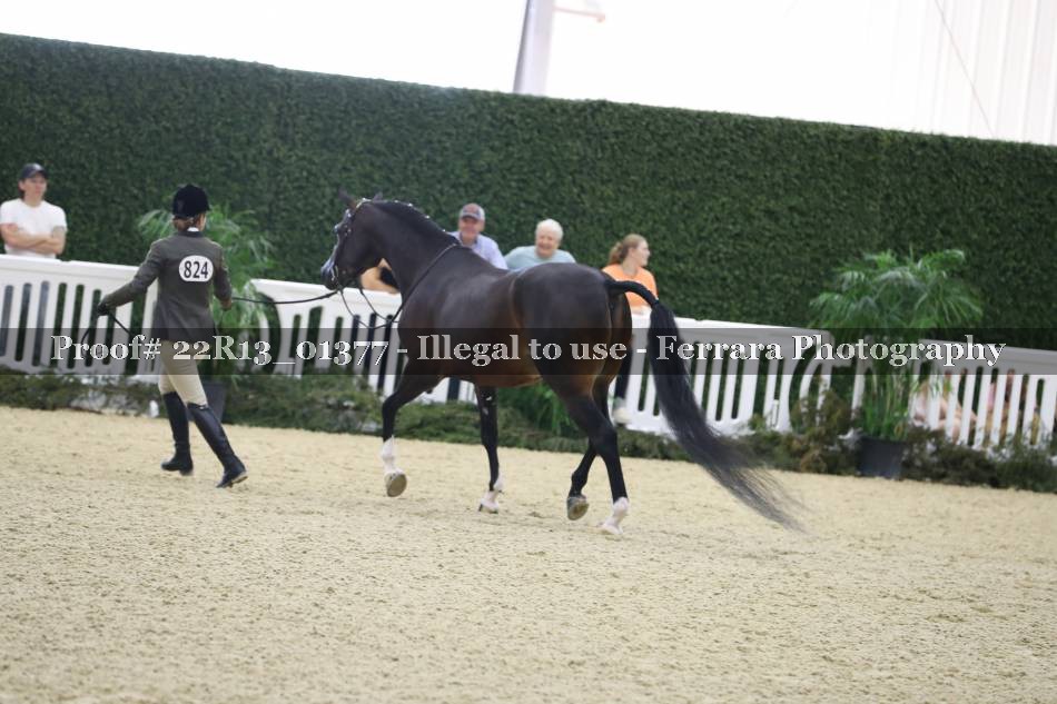 Proof 22R13_01377