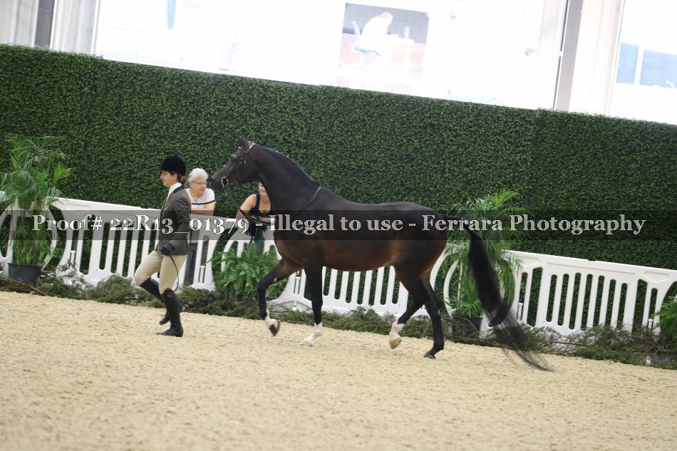 Proof 22R13_01379