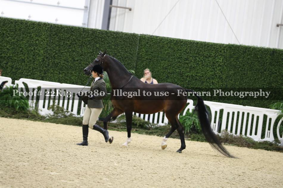 Proof 22R13_01380