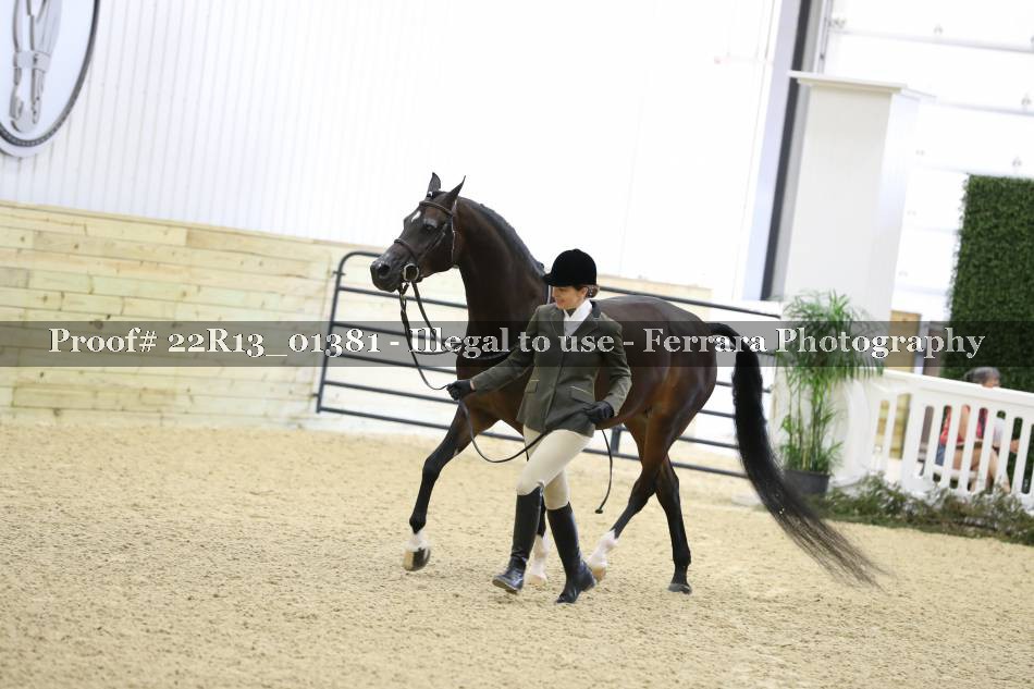 Proof 22R13_01381