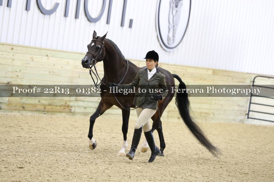 Proof 22R13_01382