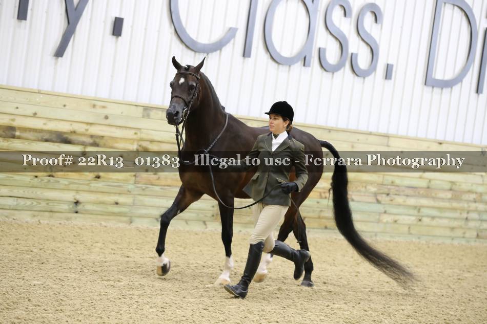 Proof 22R13_01383