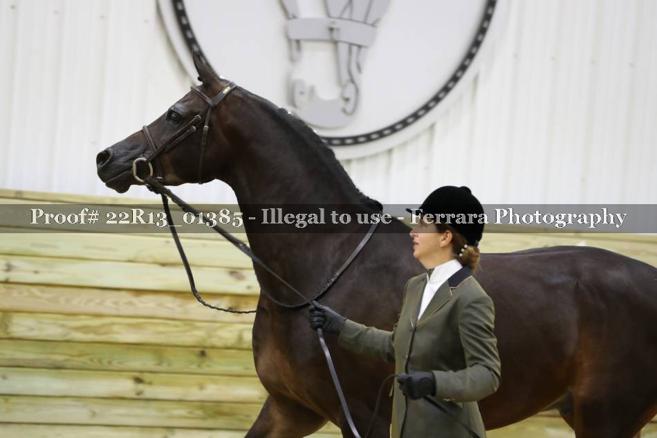 Proof 22R13_01385