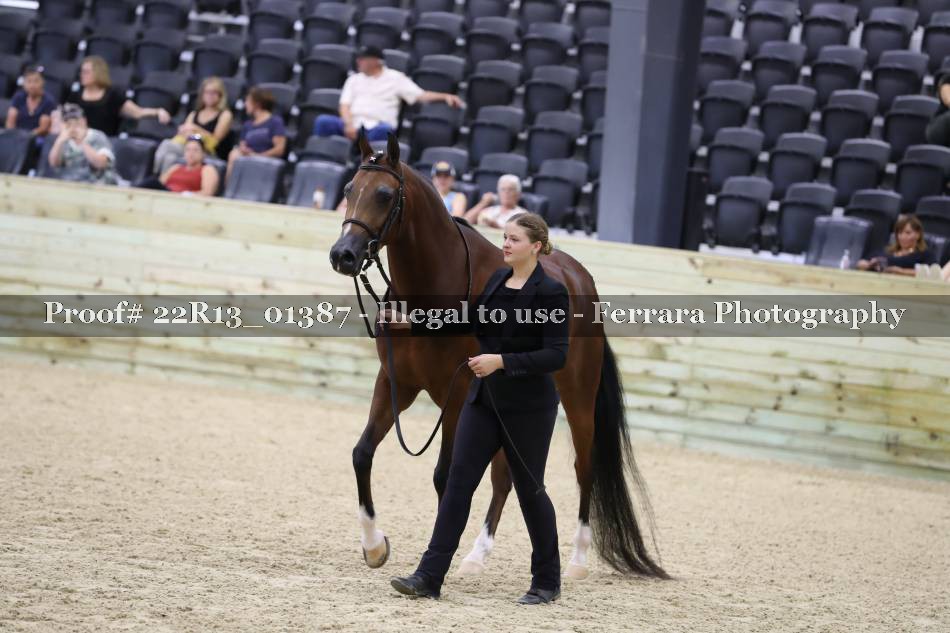 Proof 22R13_01387