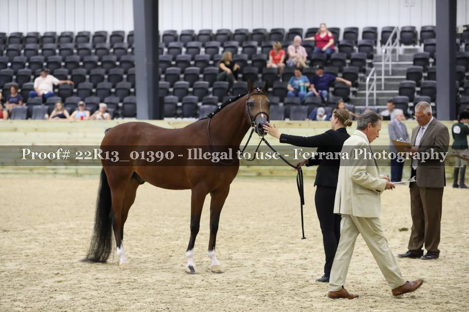 Proof 22R13_01390