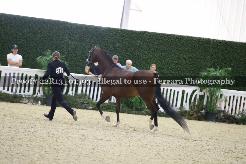 Proof 22R13_01393