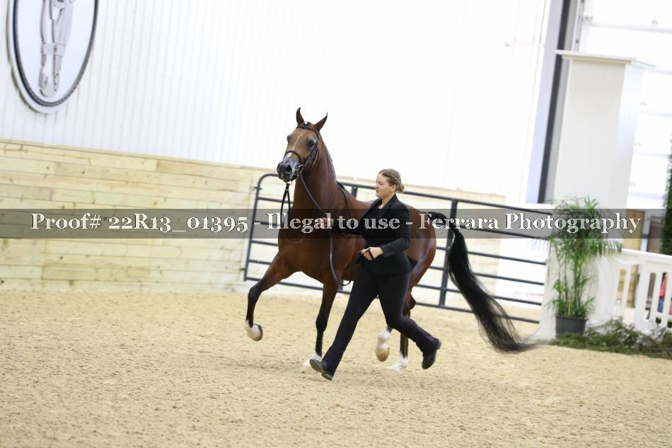 Proof 22R13_01395