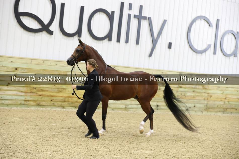 Proof 22R13_01396