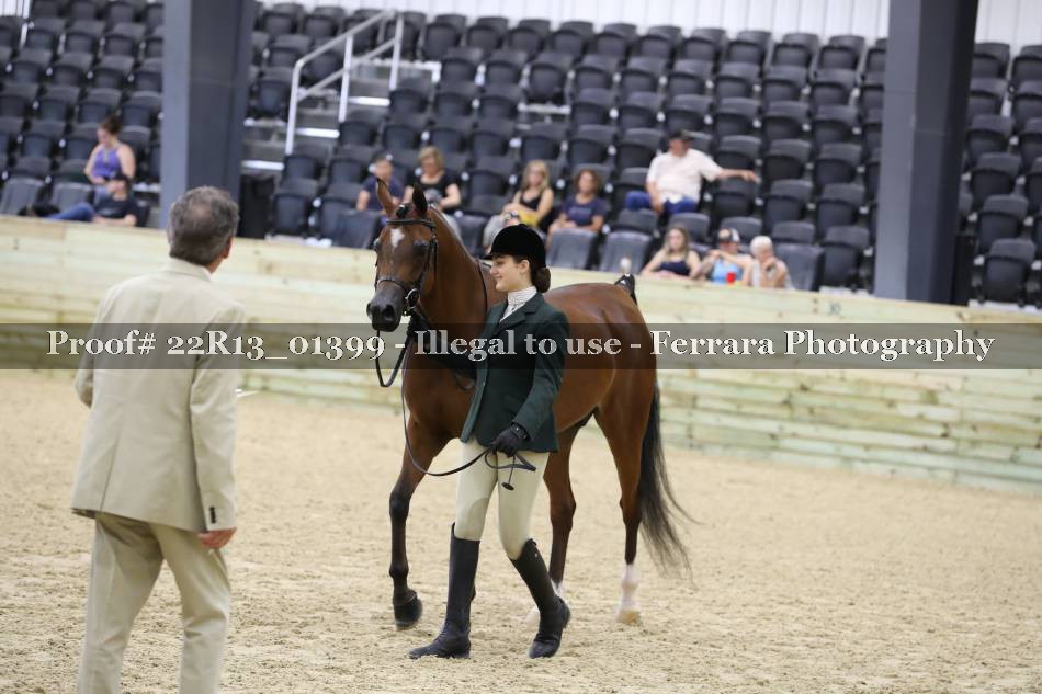 Proof 22R13_01399