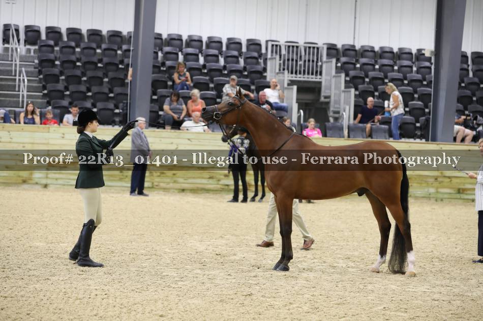 Proof 22R13_01401