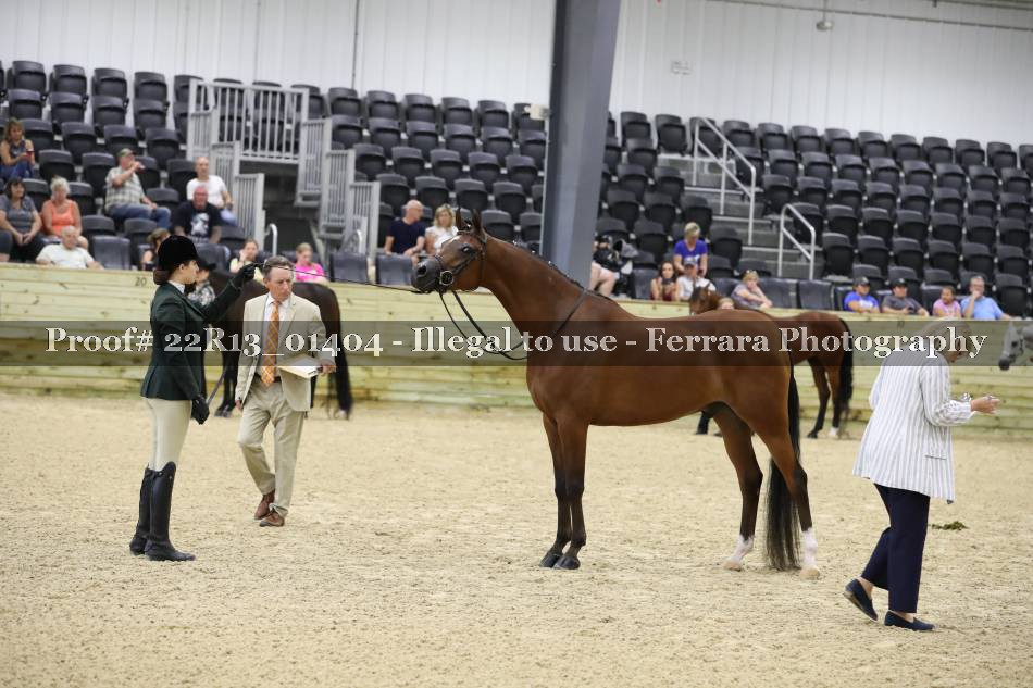 Proof 22R13_01404