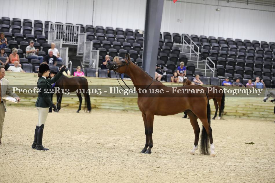 Proof 22R13_01405
