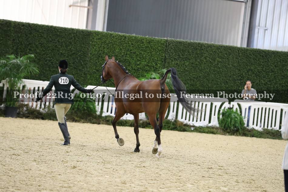 Proof 22R13_01407