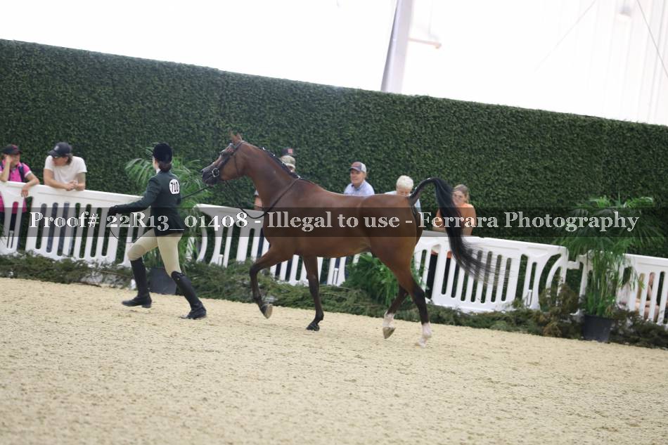 Proof 22R13_01408