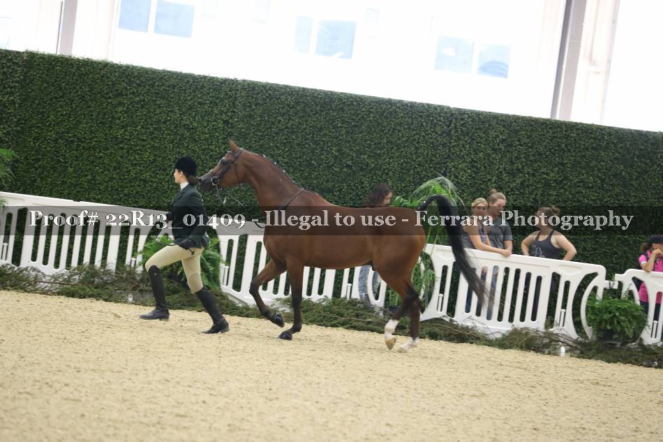 Proof 22R13_01409