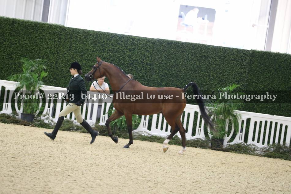 Proof 22R13_01410