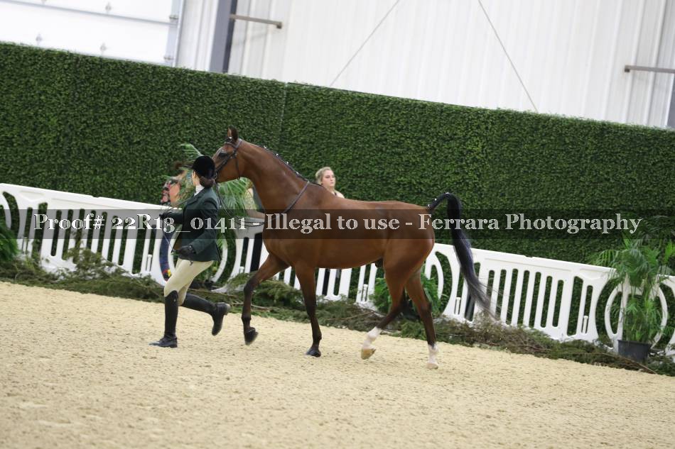 Proof 22R13_01411