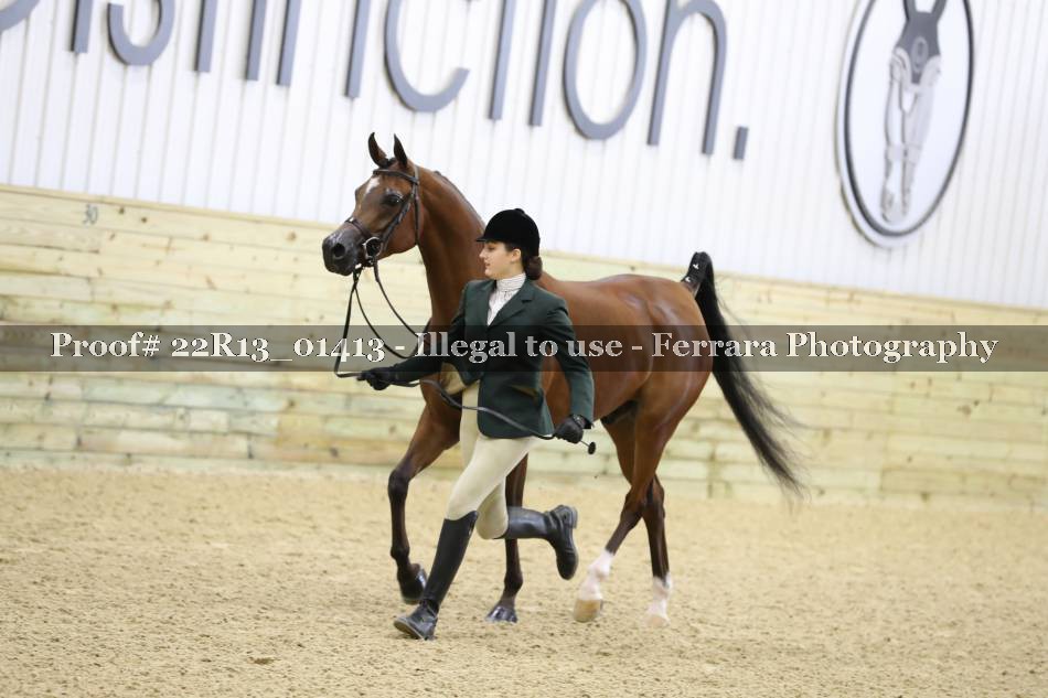 Proof 22R13_01413