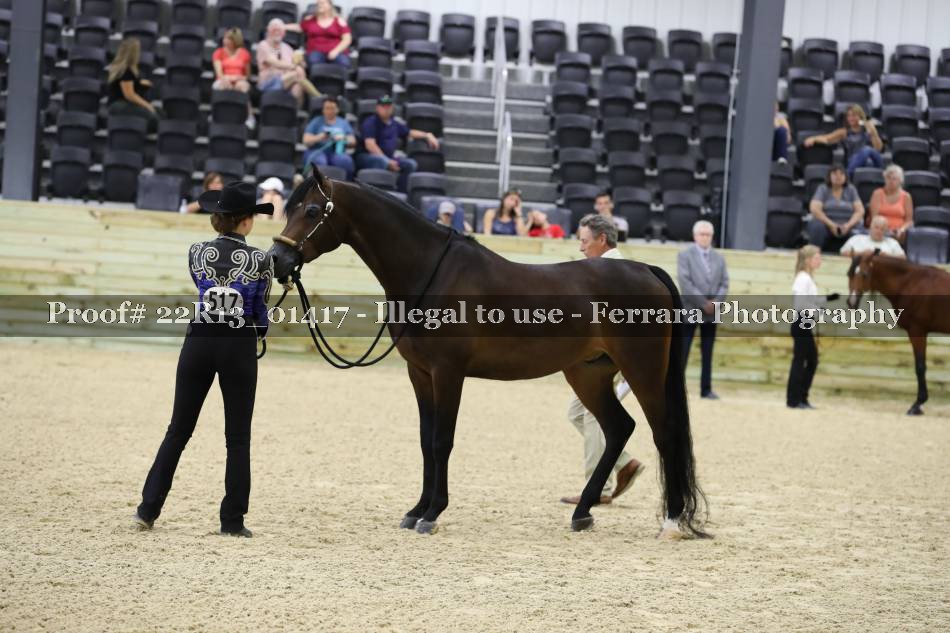 Proof 22R13_01417