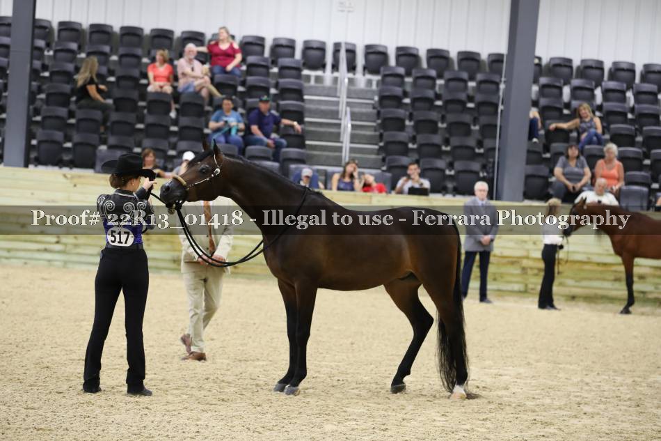 Proof 22R13_01418