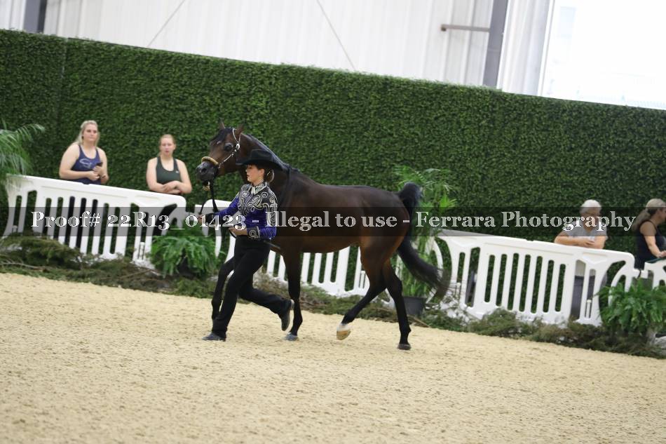 Proof 22R13_01423
