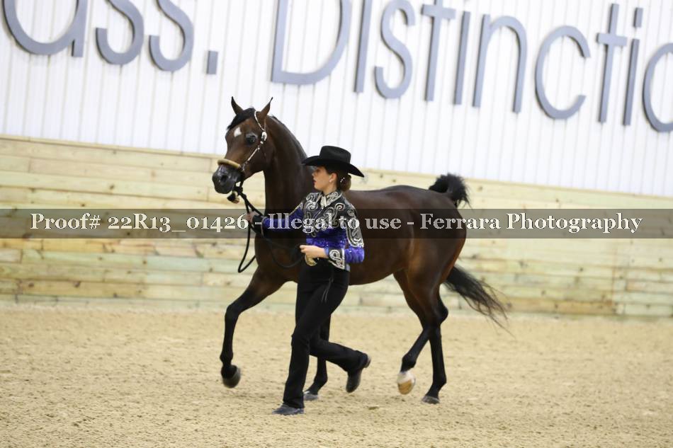Proof 22R13_01426