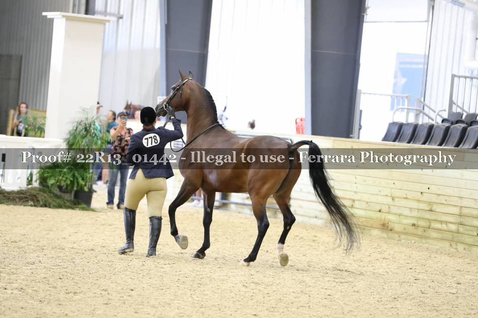 Proof 22R13_01442