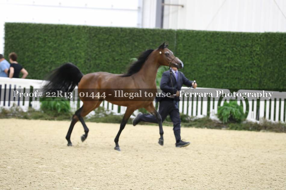 Proof 22R13_01444