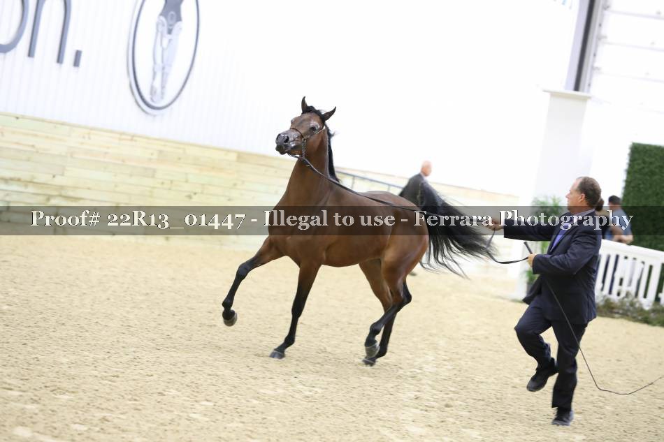 Proof 22R13_01447