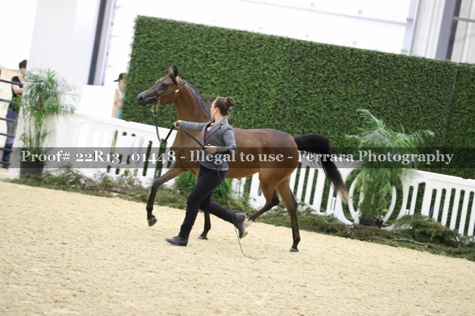 Proof 22R13_01448